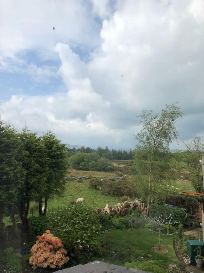 Pen Yr Allt Villa Bangor  Luaran gambar