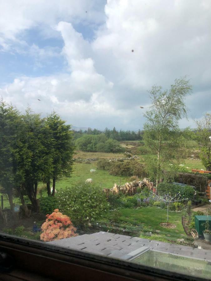Pen Yr Allt Villa Bangor  Luaran gambar